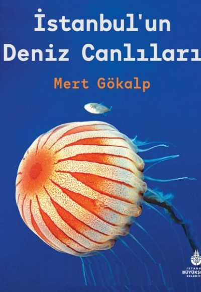 İstanbulun Deniz Canlıları