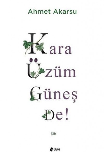 Kara Üzüm Güneş De