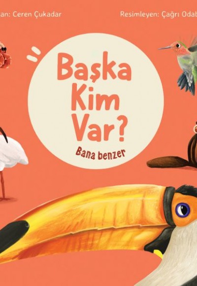 Bana Benzer - Başka Kim Var