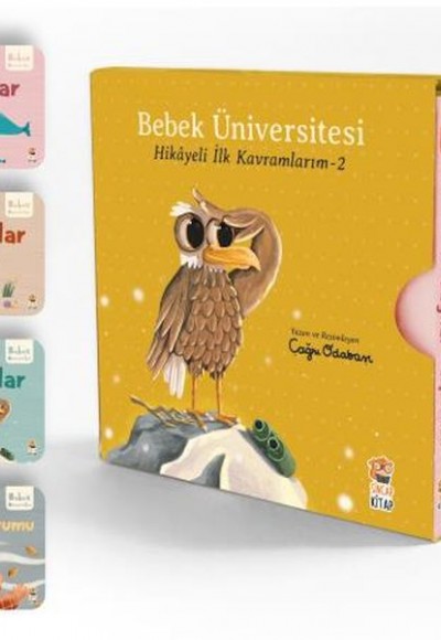 Bebek Üniversitesi Set 2 (4 Kitap)