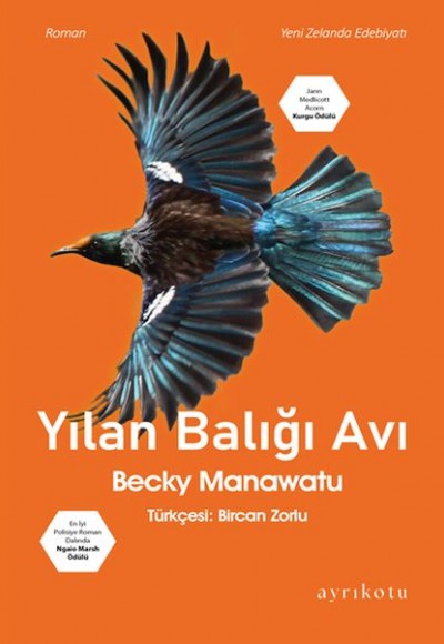 Yılan Balığı Avı