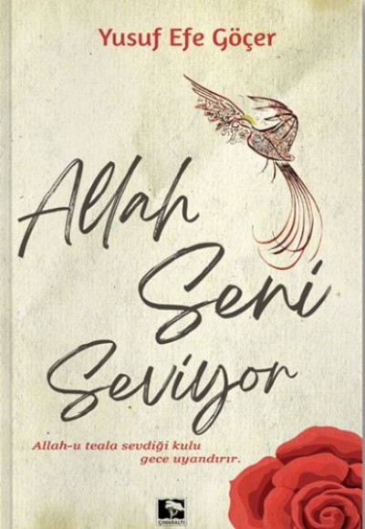 Allah Seni Seviyor