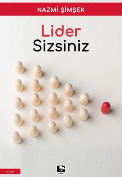 Lider Sizsiniz