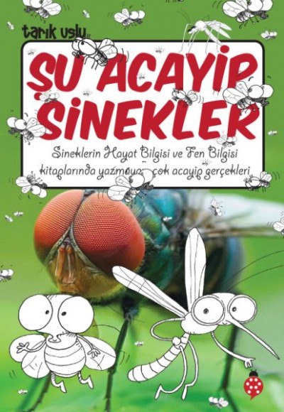 Şu Acayip Sinekler