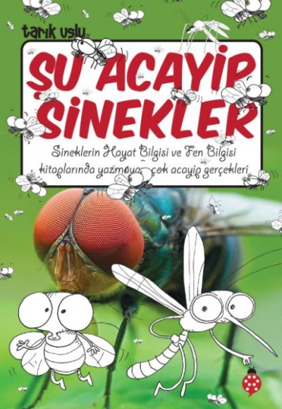 Şu Acayip Sinekler