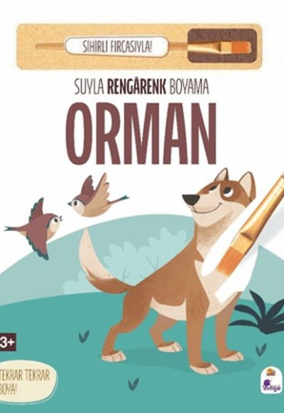 Suyla Rengarenk Boyama - Orman (Sihirli Fırçasıyla)