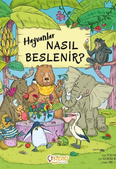 Hayvanlar Nasıl Beslenir ?