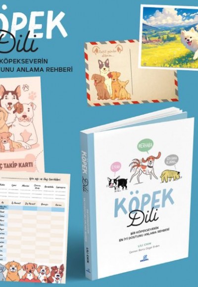 Köpek Dili - Bir Köpekseverin En İyi Dostunu Anlama Rehberi