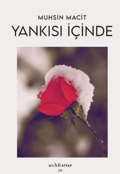 Yankısı İçinde