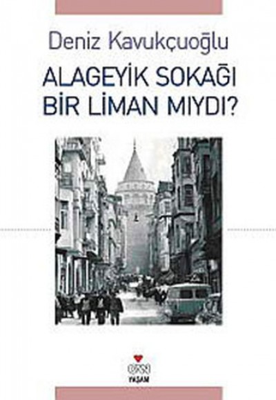 Alageyik Sokağı Bir Liman mıydı?