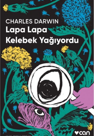 Lapa Lapa Kelebek Yağıyordu