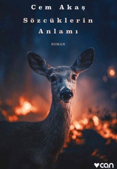 Sözcüklerin Anlamı Sözcüklerin Anlamı