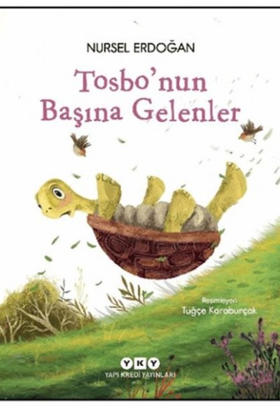 Tosbo'nun Başına Gelenler