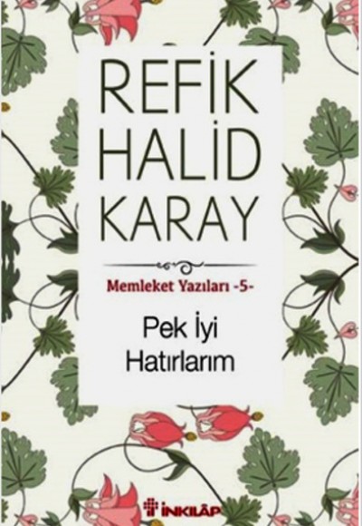 Memleket Yazıları 05 - Pek İyi Hatırlarım