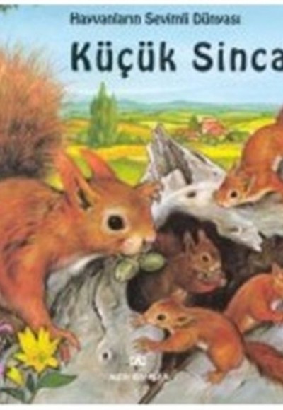 Hayvanların Sevimli Dünyası Küçük Sincap Ciltli