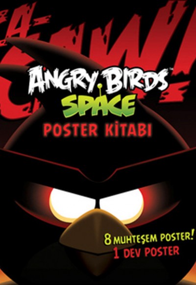 Angry Birds Space Poster Kitabı