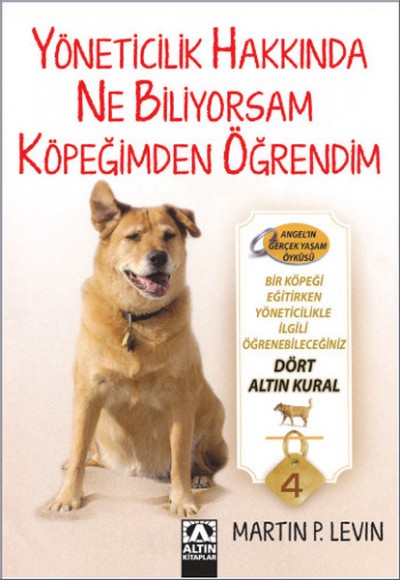 Yöneticilik Hakkında Ne Biliyorsam Köpeğimden Öğrendim