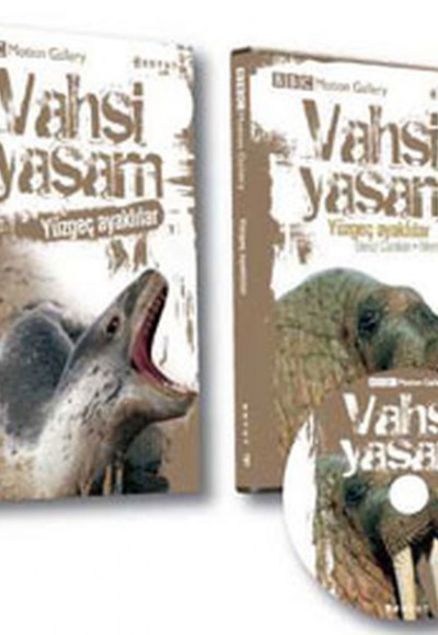 Vahşi Yaşam - Yüzgeç Ayaklılar (Dvd Ekli)