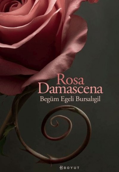 Rosa Damascena (Damask Gülü)