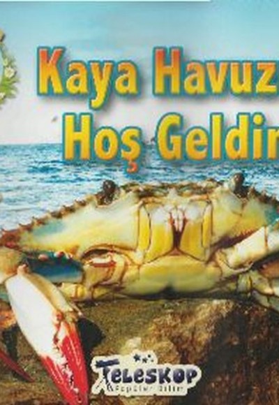 Kaya Havuzuna Hoş Geldiniz