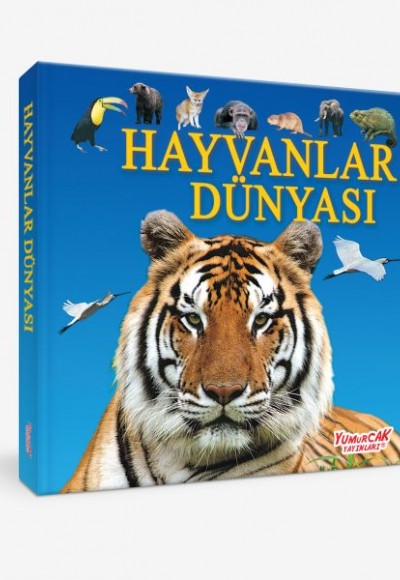 Hayvanlar Dünyası (Ciltli)