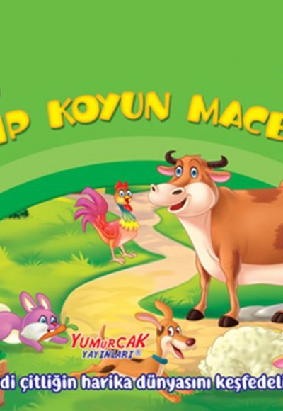 Kayıp Koyun Macerası