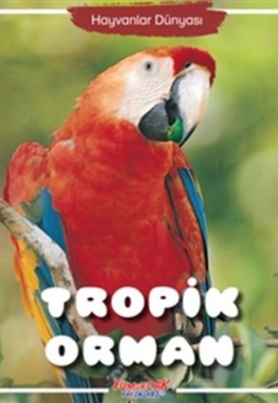 Tropik Orman - Hayvanlar Dünyası