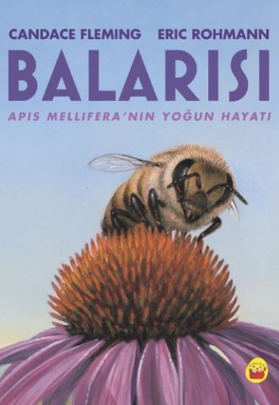 Balarısı