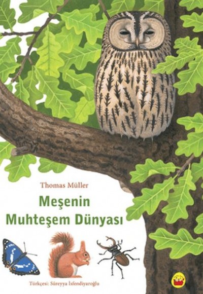 Meşenin Muhteşem Dünyası