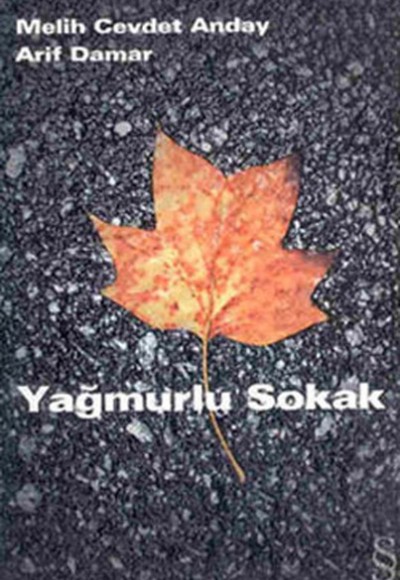 Yağmurlu Sokak