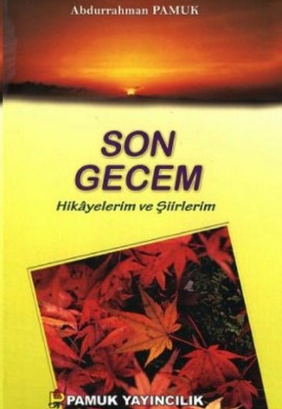 Son Gecem - Hikayelerim ve Şiirlerim