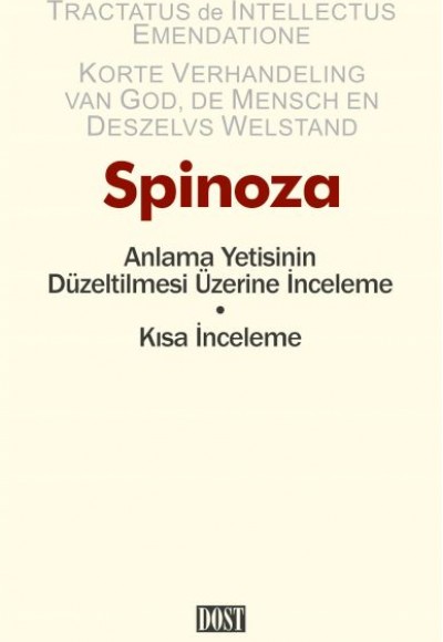 Anlama Yetisinin Düzeltilmesi Üzerine İnceleme