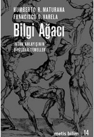 Bilgi Ağacı  İnsan Anlayışının Biyolojik Temelleri