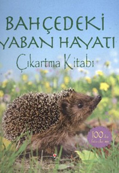 Bahçedeki Yaban Hayatı Çıkartma Kitabı