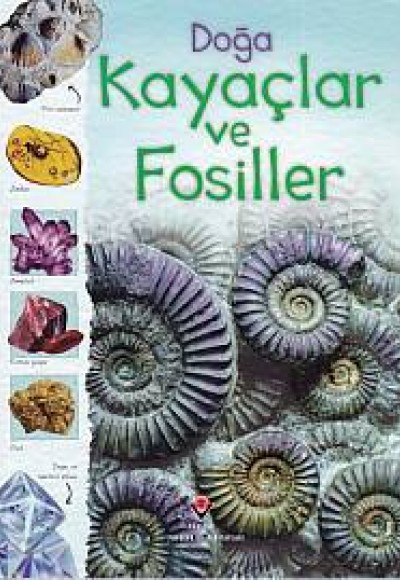 Doğa: Kayaçlar ve Fosiller