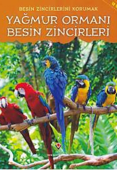 Yağmur Ormanı - Besin Zincirleri