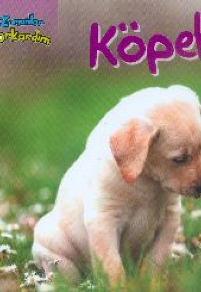 Köpekler / Bir Zamanlar Korkardım