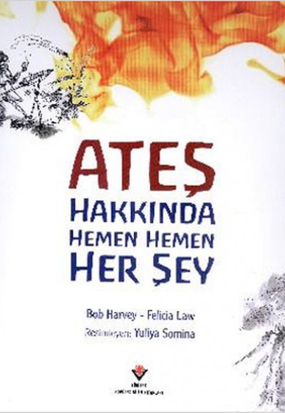 Ateş Hakkında Hemen Hemen Her Şey