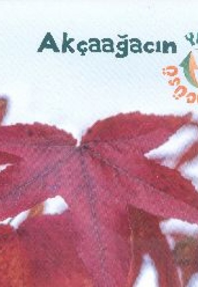 Akçaağacın Yaşam Döngüsü