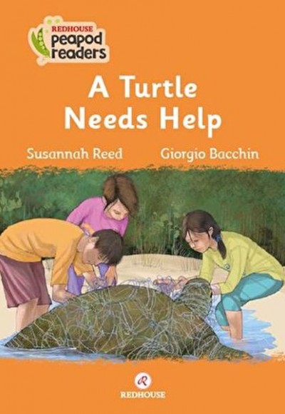 A Turtle Needs Help