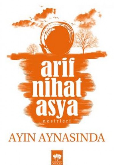 Ayın Aynasında