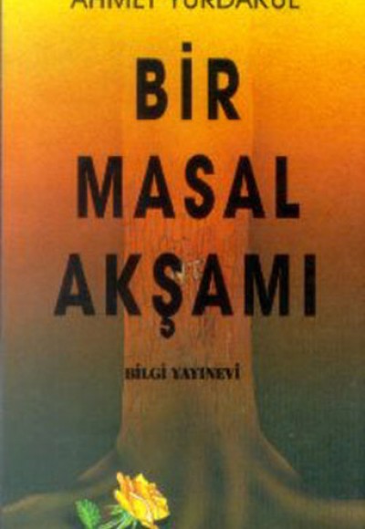 Bir Masal Akşamı