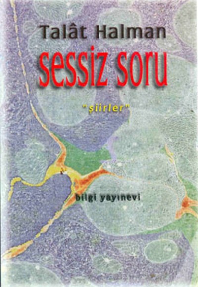 Sessiz Soru