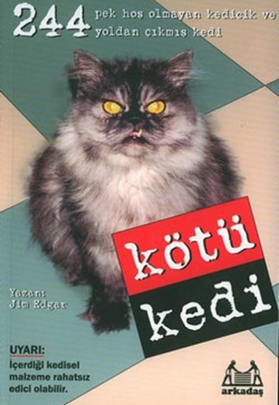 Kötü Kedi