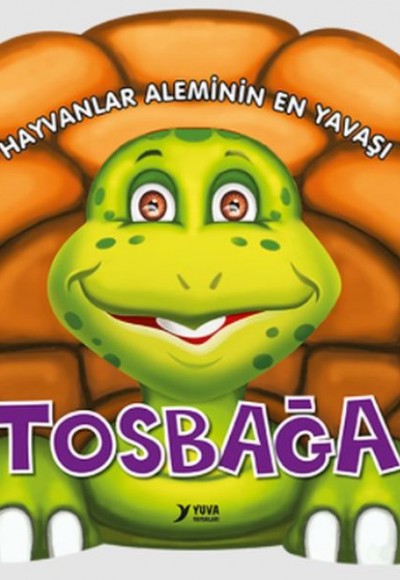 Hayvanlar Aleminin En Yavaşı : Tosbağa