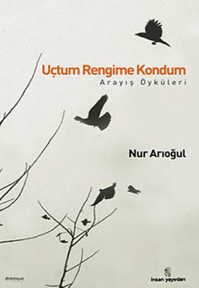 Uçtum Rengime Kondum  Arayış Öyküleri