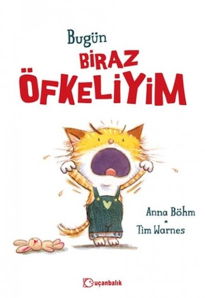 Bugün Biraz Öfkeliyim