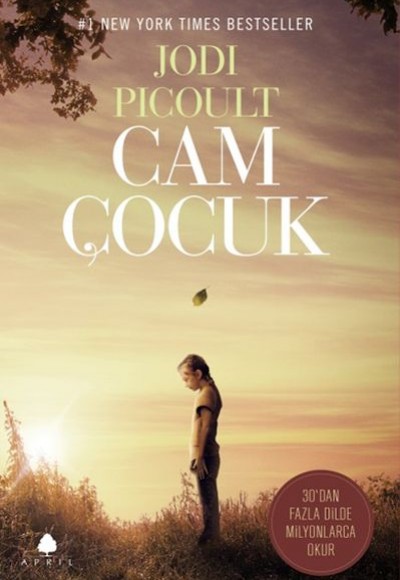 Cam Çocuk