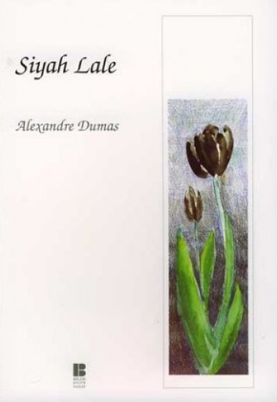 Siyah Lale