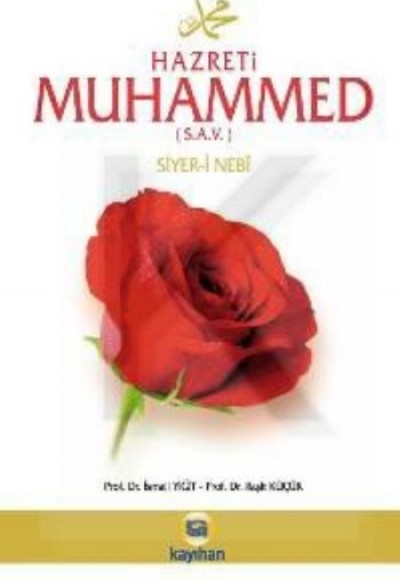 Hz. Muhammed (s.a.v.) Hayatı, Siyer-i Nebi